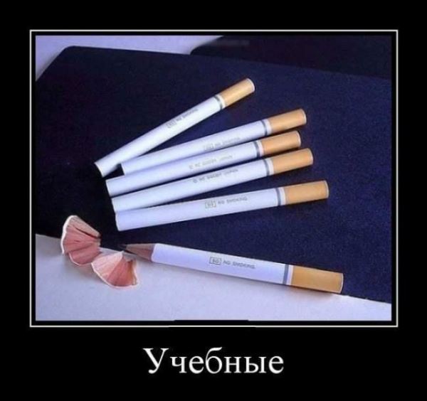 Демотиваторы для всех: «Идеальный кондуктор…» (16 фото)