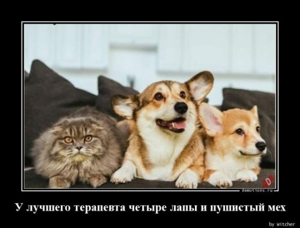 Смешные демотиваторы: «Минздрав в недоумении» (16 шт)