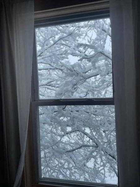 Фотографии, которые доставят вам визуальное удовольствие (24 шт)