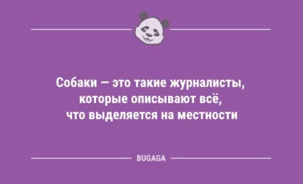 Анекдоты дня: «У меня самый романтичный мужчина…» (8 шт)