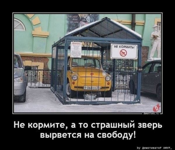 Демотиваторов пост: «Игрушками не играть» (16 шт)