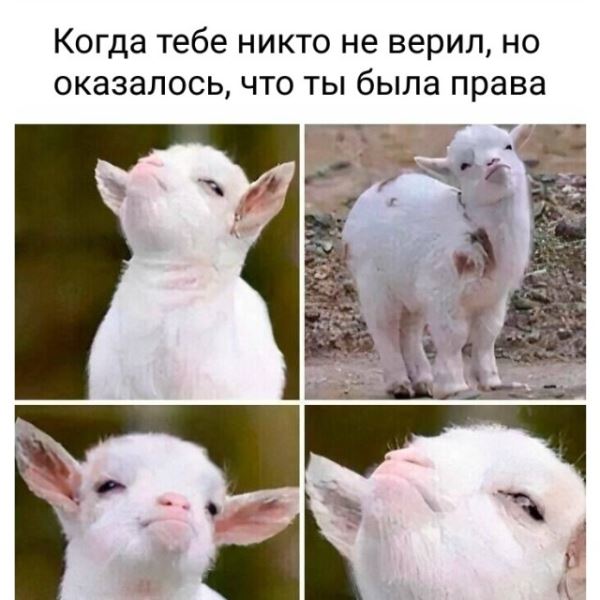 Прикольные картинки дня: «Когда тебе никто не верил…» (26 шт)
