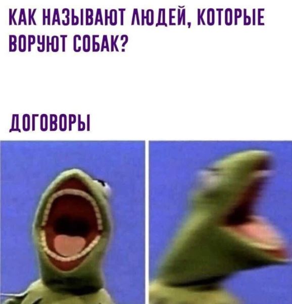 Прикольные мемы: «Когда в групповом чате был какой-то замес, пока ты спал» (20 фото)