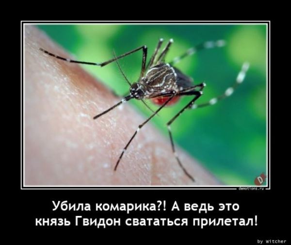 Свежий сборник прикольных демотиваторов: «С добрым утром!» (16 шт)