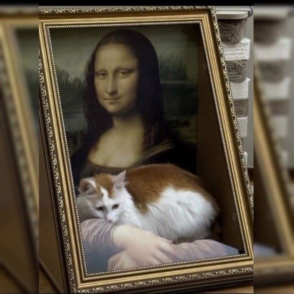 Самая художественная лежанка для кошек