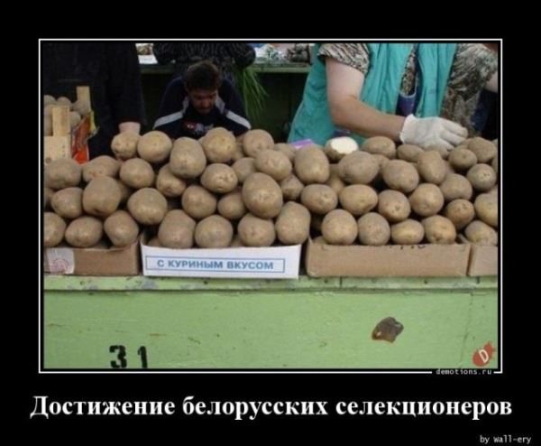Демотиваторы в конце недели: «Фотография жены в бумажнике…» (18 шт)