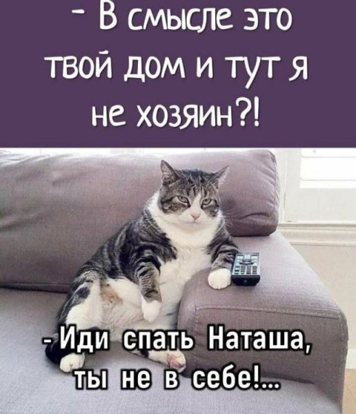 КотоМЕМЫ для хорошего настроения: «Слюни — это слёзы рта…» (22 шт)